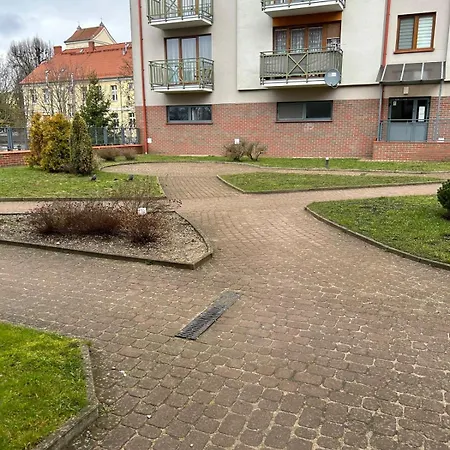 Apartment Roza