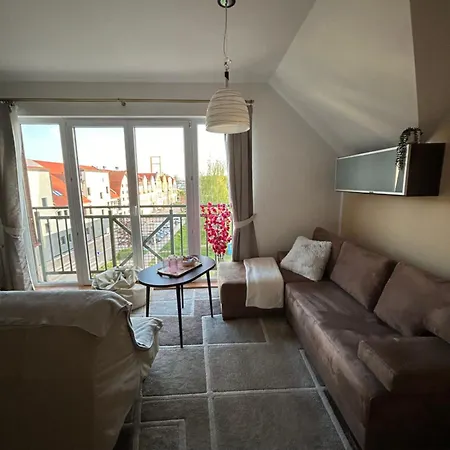 公寓 Roza 吉日茨科