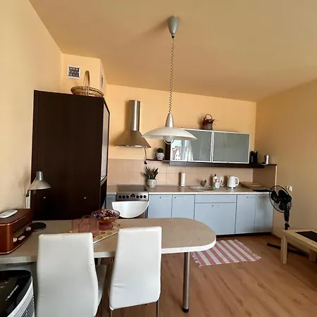 Apartment Roza *
